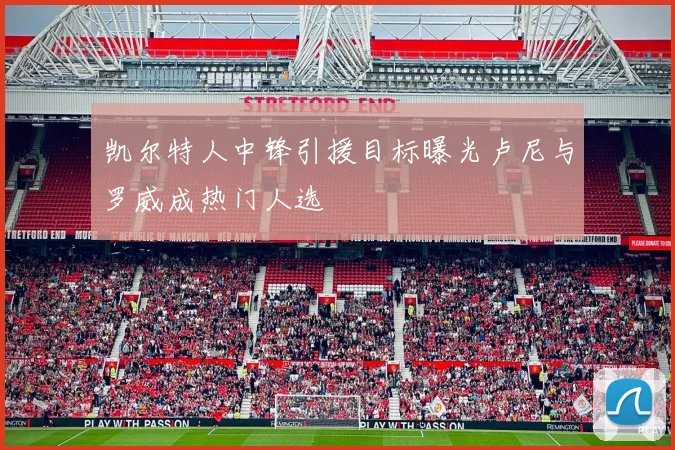 凯尔特人中锋引援目标曝光卢尼与罗威成热门人选